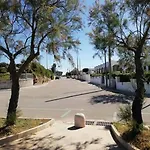 Tra Ulivi E Mare Casa vacanze Torre Suda