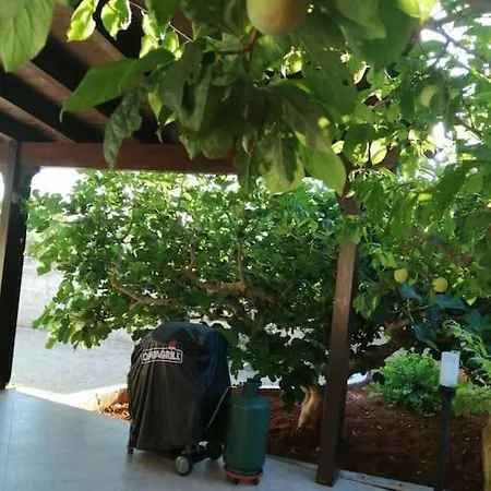 Tra Ulivi E Mare Сasa de vacaciones *