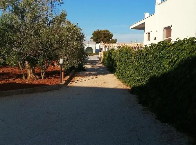Tra Ulivi E Mare Casa vacanze *